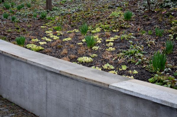 Cost of Concrete Wall Construction in Santa Monica