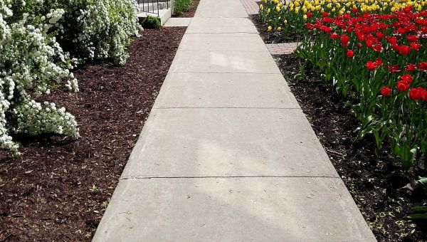 Cost of Sidewalk Slab Replacement in Santa Monica