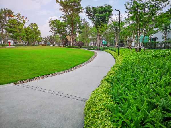 Cost of Cement Walkway Service in Santa Monica
